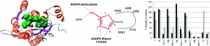 Virtual screening identifies non-folate compounds, including a CNS drug, as antiparasitic agents inhibiting pteridine reductase (table and pictures: Ferrari et al.)