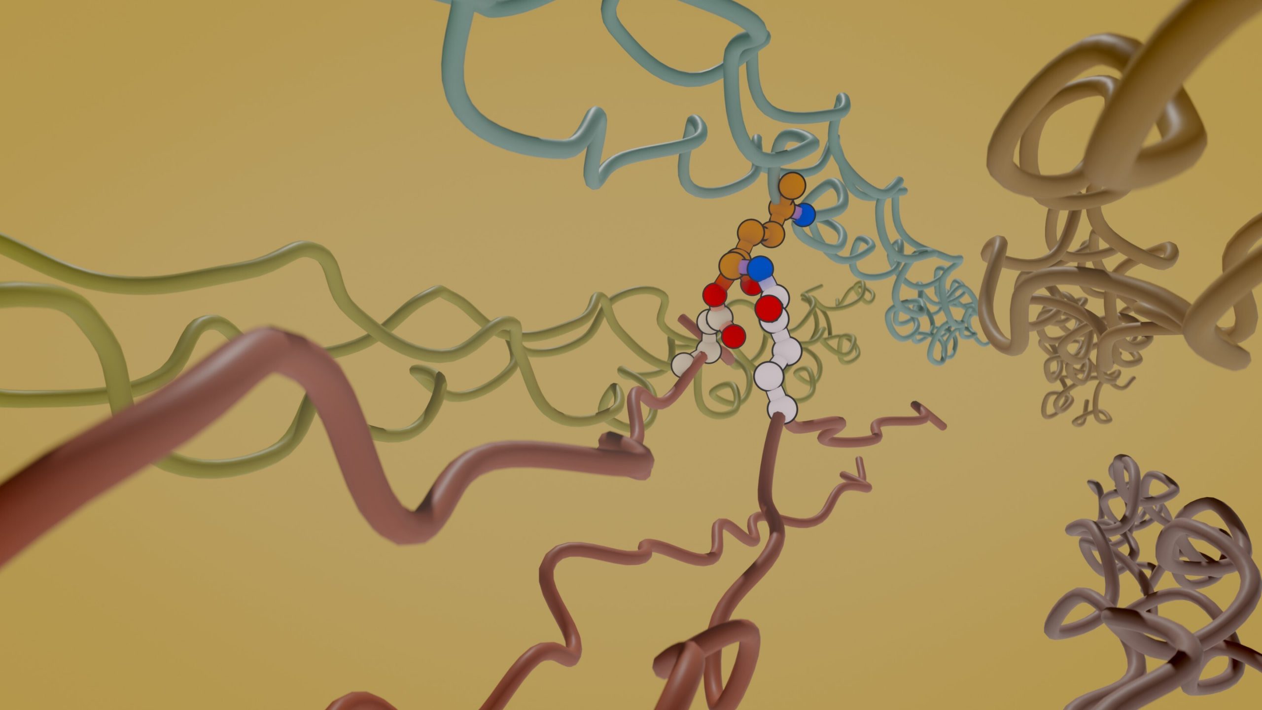 Diffusion models for protein design HITS gGmbH