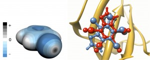 HITS Halogen Bonding