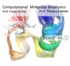 mol_bio