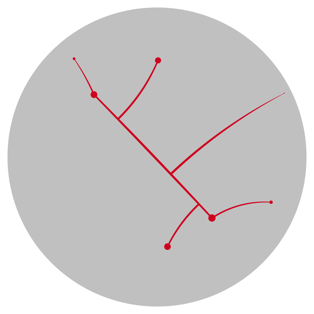 The approximating graph connecting a point cloud in the hyperbolic plane.