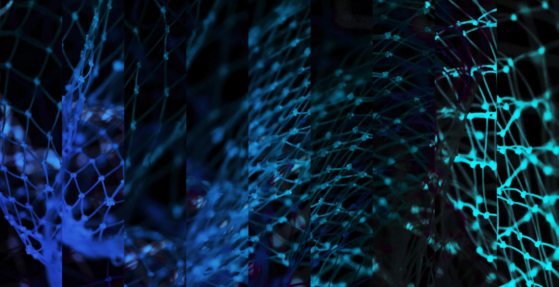 test-header-homepage