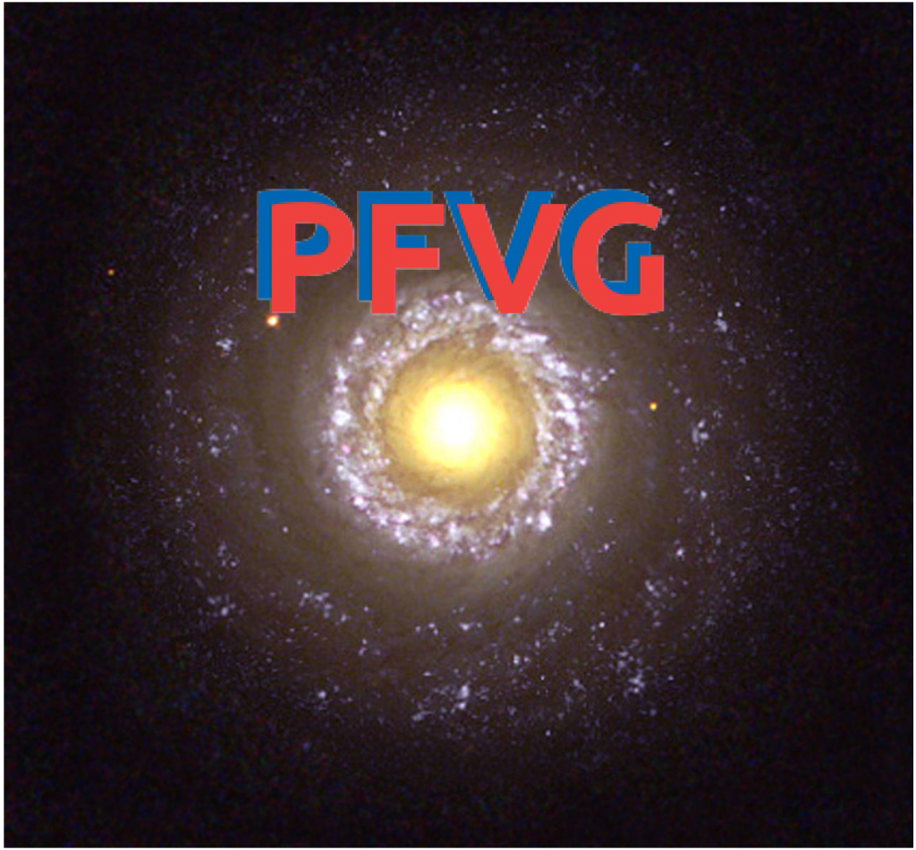 PFVG - A novel probabilistic approach to separate galaxy from nuclear ...
