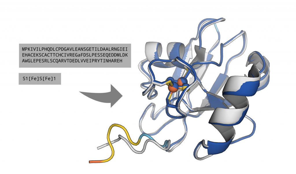 Schematic representation of the prediction of a protein 3D structure.