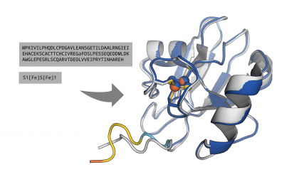Schematic representation of the prediction of a protein 3D structure.
