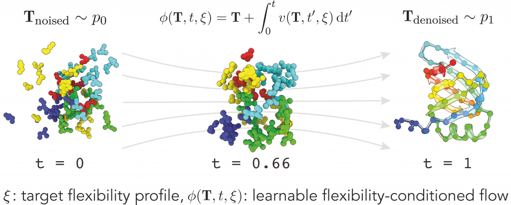FliPS learns a flow from noise (on the left) to data (on the right). This flow is conditioned on the flexibility (annotated at the bottom). 