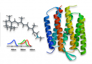 SIMPLAIX_Phase_2-Projekt6_Bild1