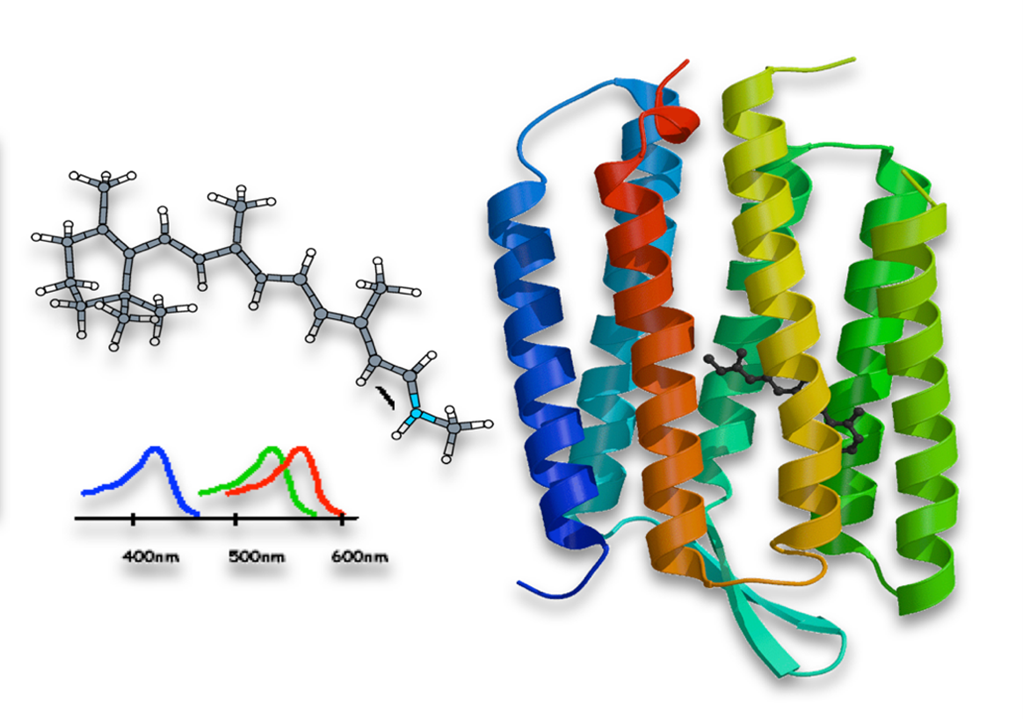 SIMPLAIX_Phase_2-Projekt6_Bild1