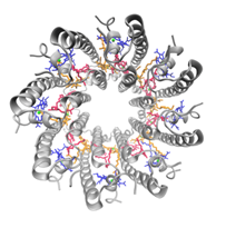 SIMPLAIX Phase 2. P6_Bild3