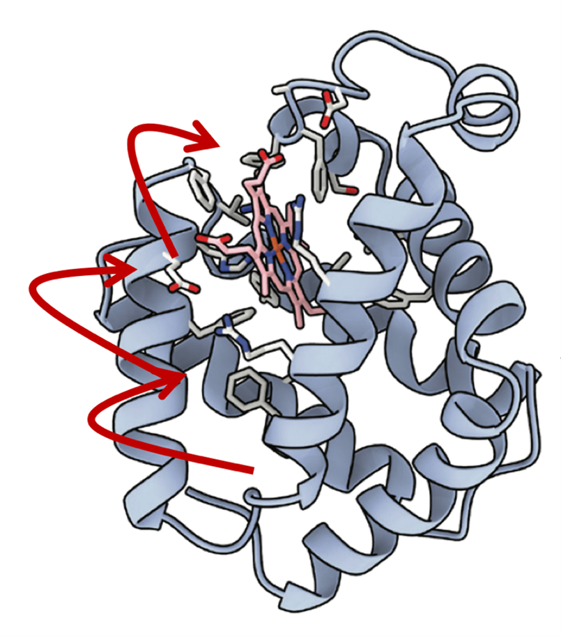 Picture belongs to SIMPLAIX Phase 2, Proect 7