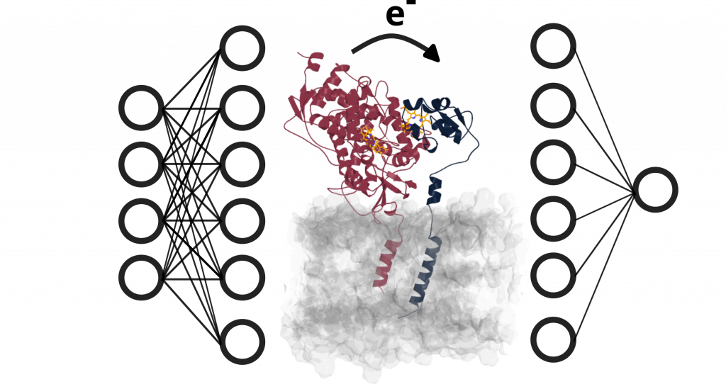 Picture 1, SIMPLAIX Phase 2, Project 8