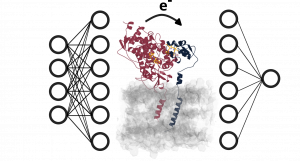 Picture 1, SIMPLAIX Phase 2, Project 8