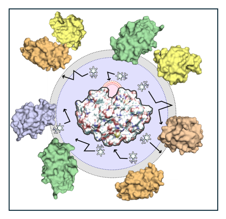 This image has an empty alt attribute; its file name is SDA7_MCM_Software_Highlight_2.png